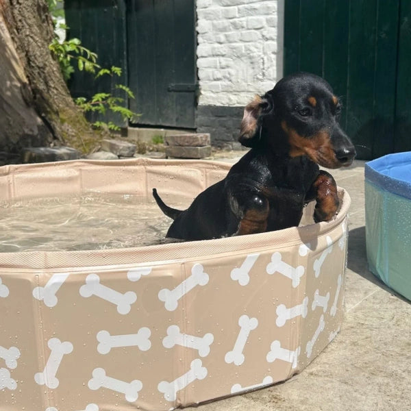 The Swim Essentials Basen chłodz?
cy dla psa 80 cm Bonebash Beige