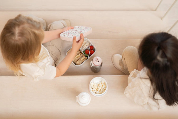 Mepal & Little Dutch Lunchbox Fairy Wonders