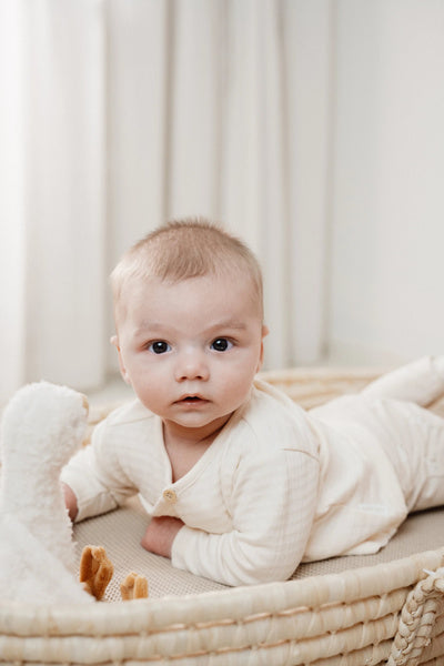 Little Dutch Koszulka kopertowa z długim rękawem Creme-56