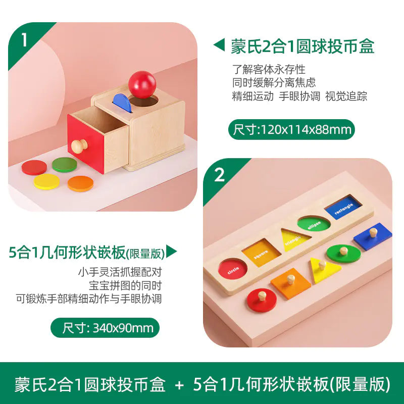 Montessori Shape Matching Puzzle Toy for Toddlers